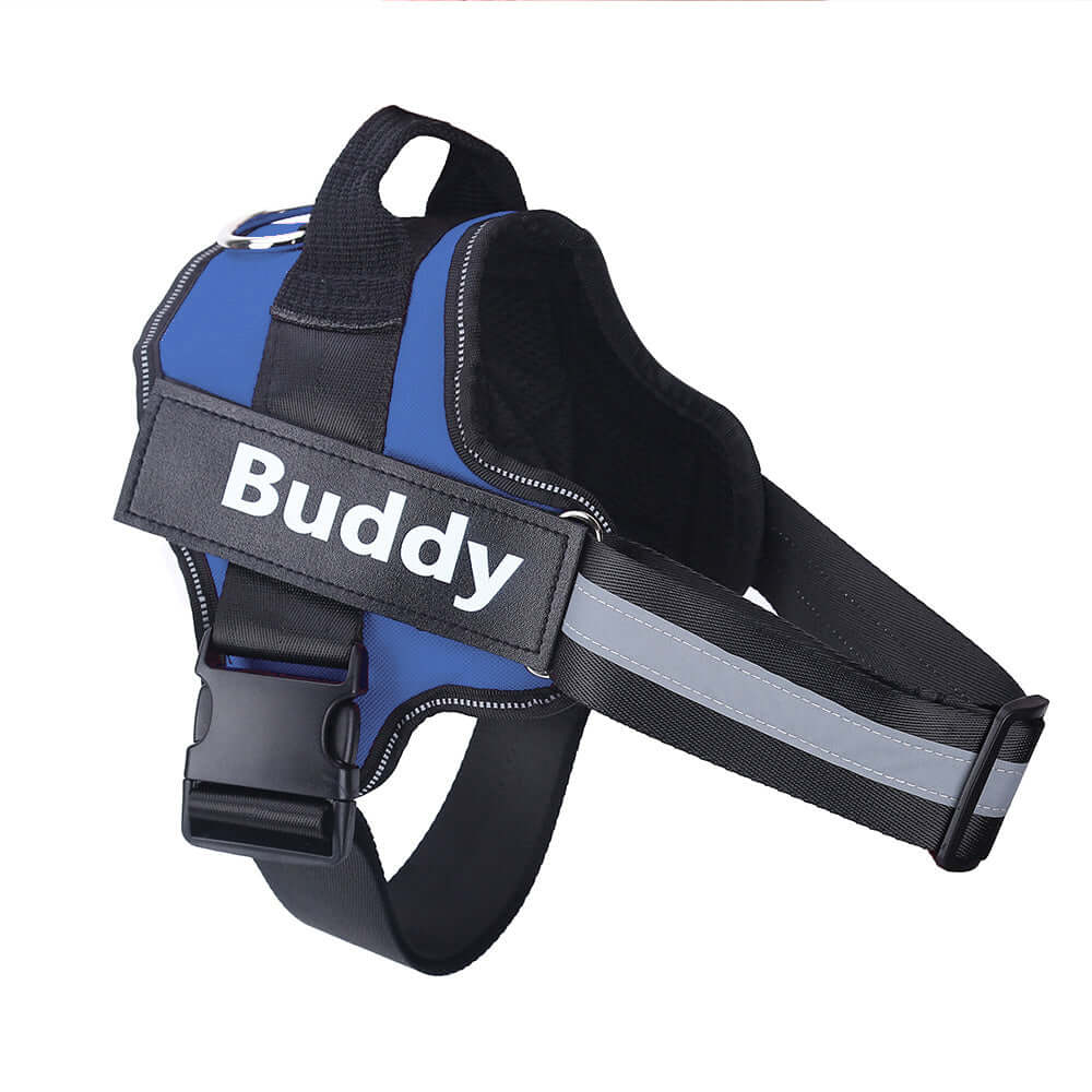 Pet Accessories Personalized Adjustable Dog Harness