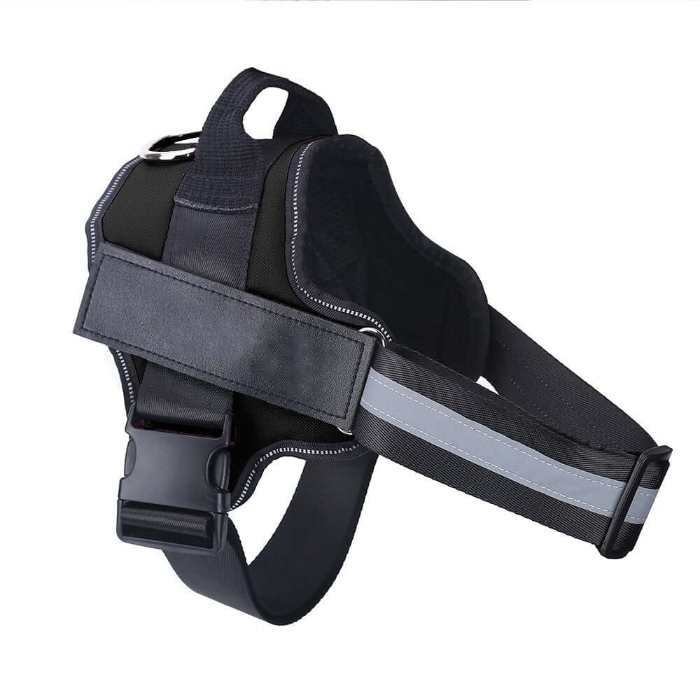 Pet Accessories Personalized Adjustable Dog Harness