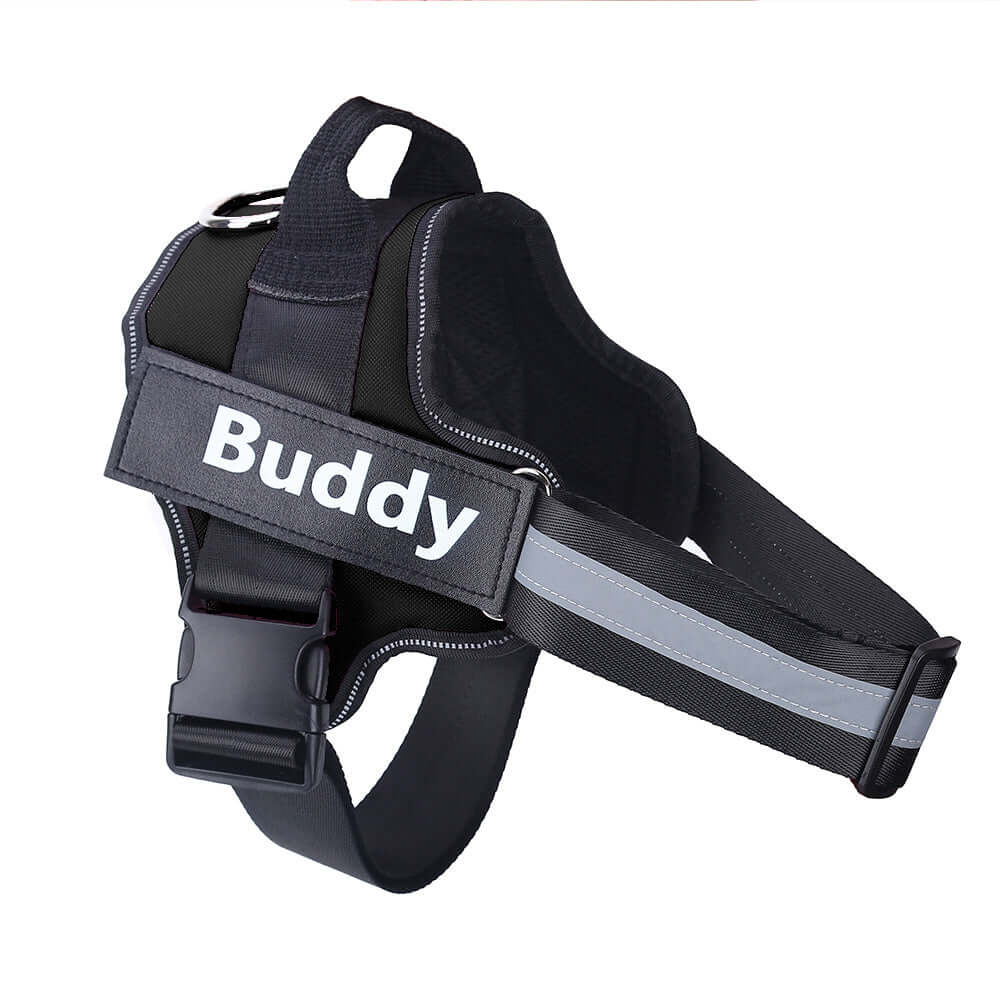 Pet Accessories Personalized Adjustable Dog Harness