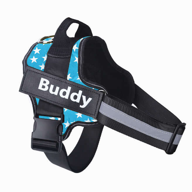 Pet Accessories Personalized Adjustable Dog Harness