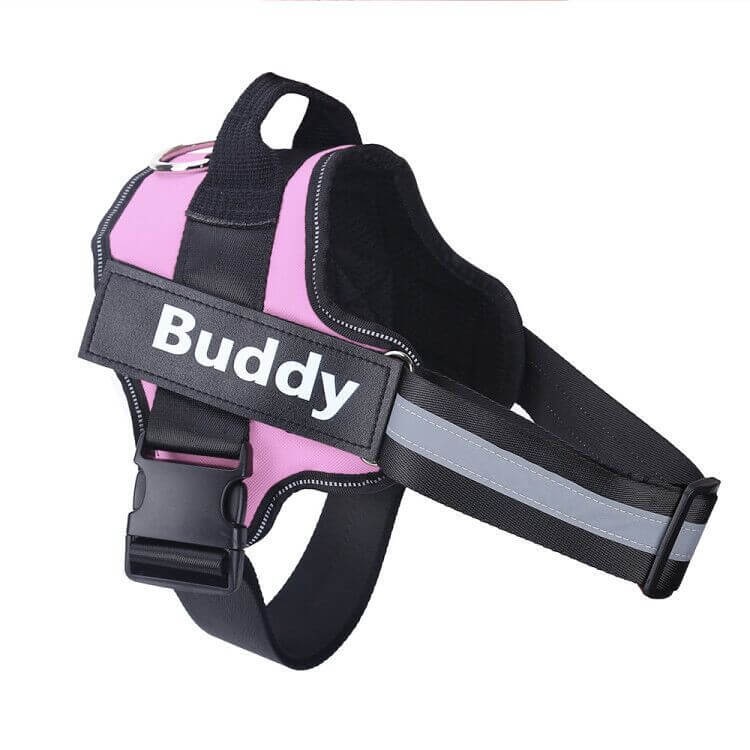 Pet Accessories Personalized Adjustable Dog Harness