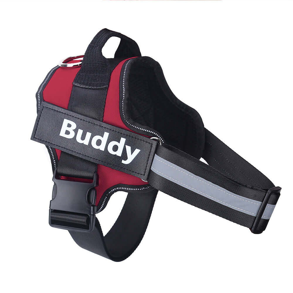 Pet Accessories Personalized Adjustable Dog Harness
