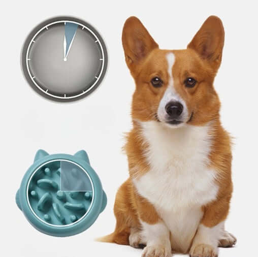 Pet Accessories Choke-Free Slow Feeder Bowls for Dogs & Cats