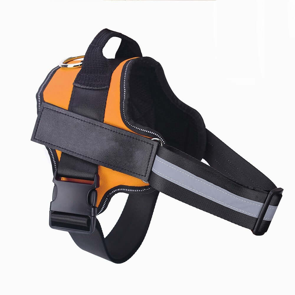Dogs harness