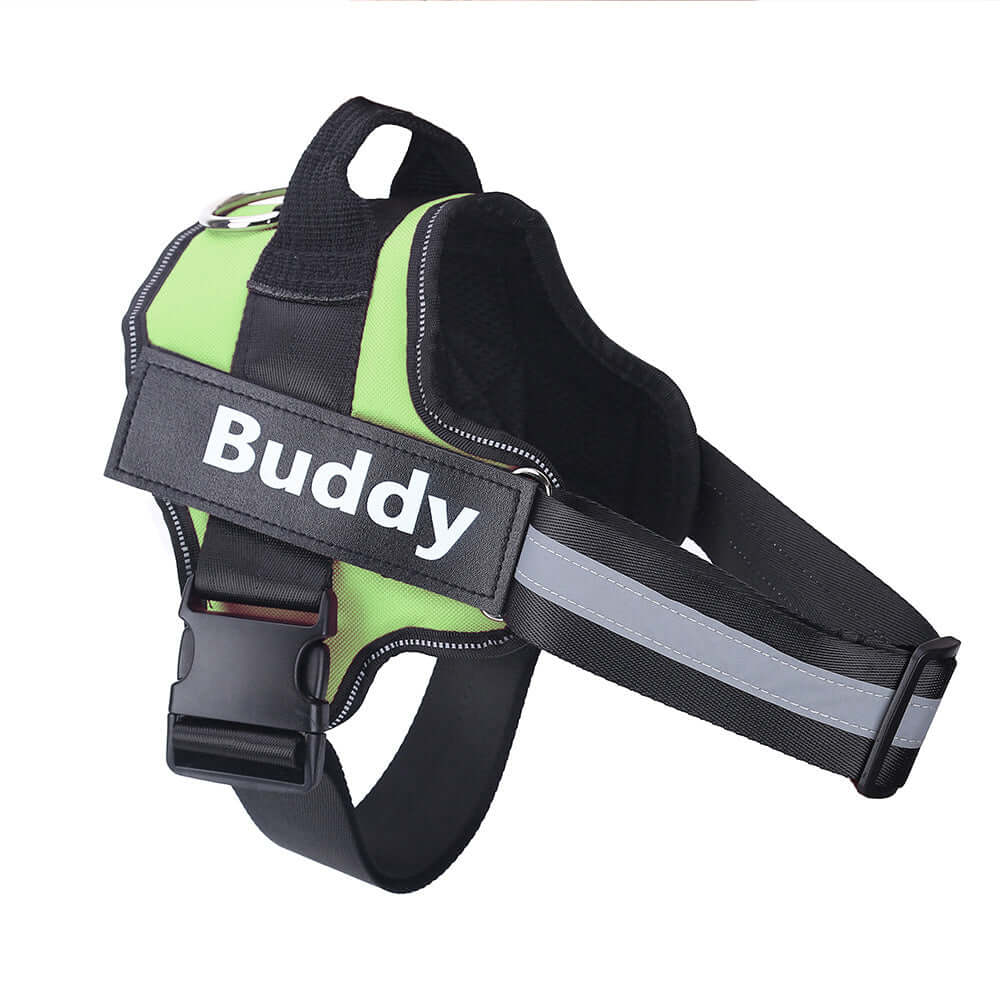 Pet Accessories Personalized Adjustable Dog Harness