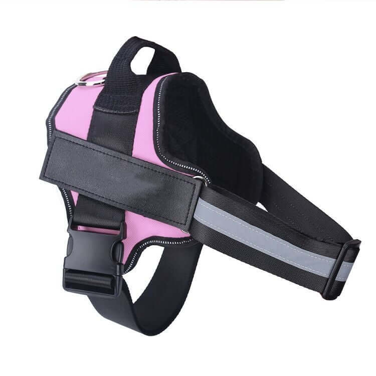 Pet Accessories Personalized Adjustable Dog Harness