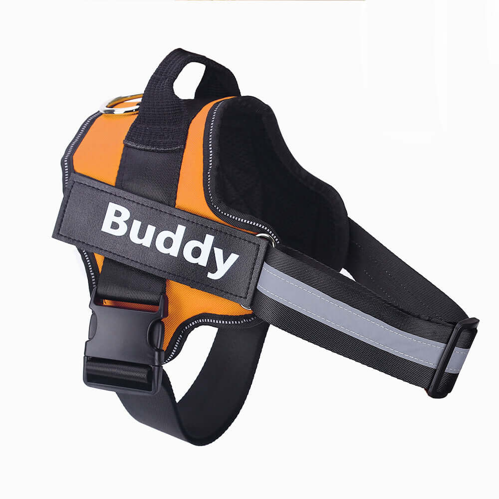 Pet Accessories Personalized Adjustable Dog Harness