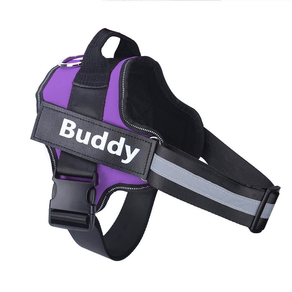 Pet Accessories Personalized Adjustable Dog Harness