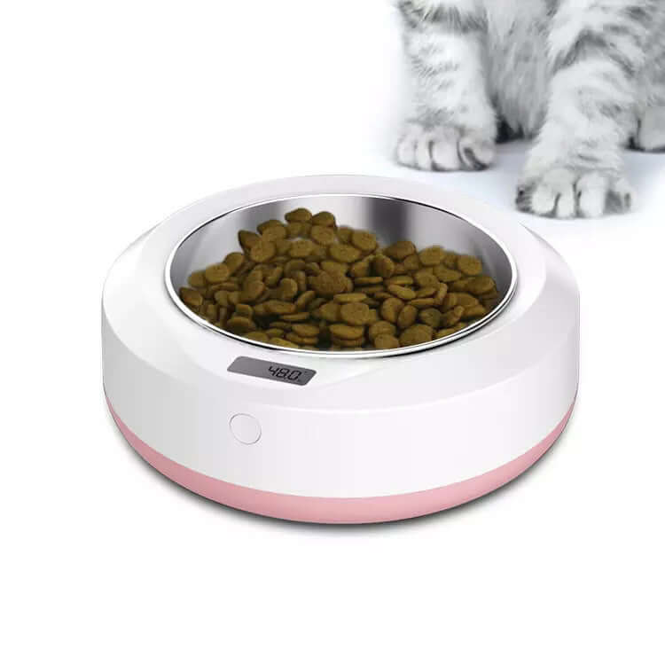 Pet Accessories Pet portable automatic feeder