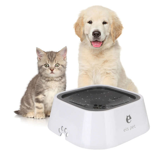 Cats and Cats Supplies