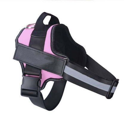 Pet Accessories Personalized Adjustable Dog Harness
