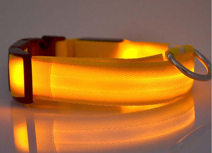 Pet Accessories LED Glow-in-the-Dark Pet Collar