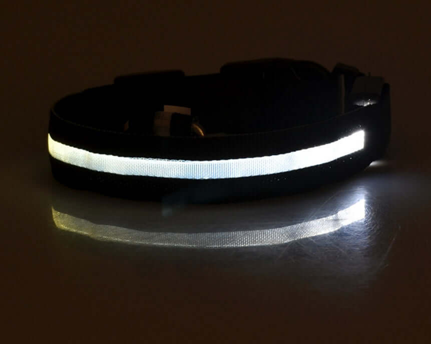 Pet Accessories LED Glow-in-the-Dark Pet Collar