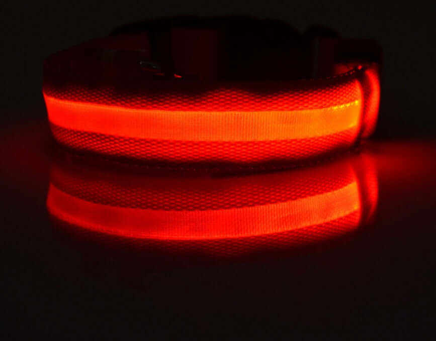 Pet Accessories LED Glow-in-the-Dark Pet Collar