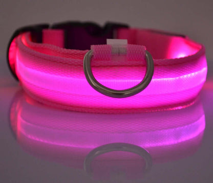 Pet Accessories LED Glow-in-the-Dark Pet Collar