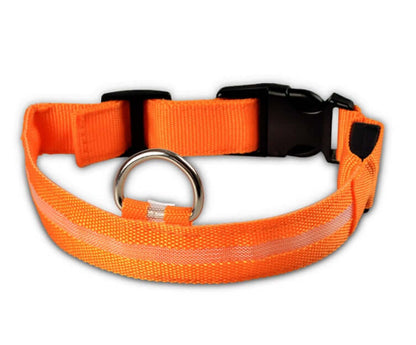 Pet Accessories LED Glow-in-the-Dark Pet Collar