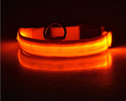 Pet Accessories LED Glow-in-the-Dark Pet Collar