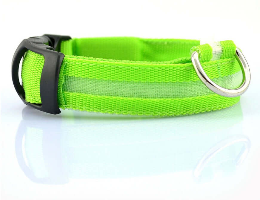 Pet Accessories LED Glow-in-the-Dark Pet Collar