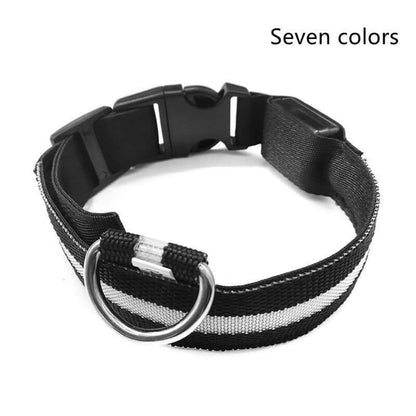 Pet Accessories LED Glow-in-the-Dark Pet Collar