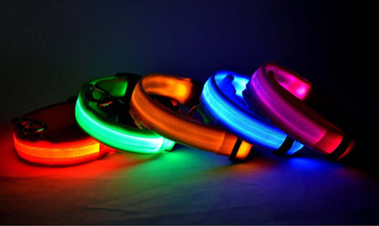 Pet Accessories LED Glow-in-the-Dark Pet Collar