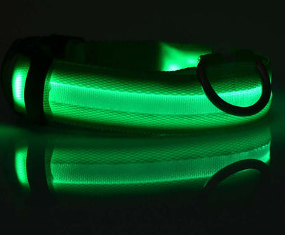 Pet Accessories LED Glow-in-the-Dark Pet Collar