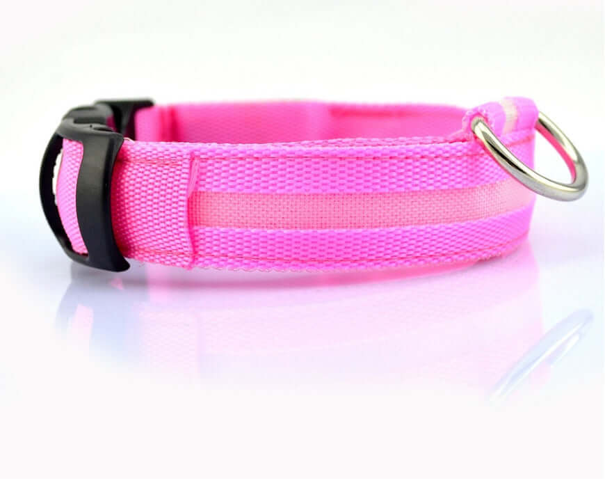 Pet Accessories LED Glow-in-the-Dark Pet Collar