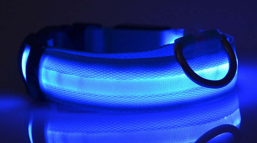 Pet Accessories LED Glow-in-the-Dark Pet Collar