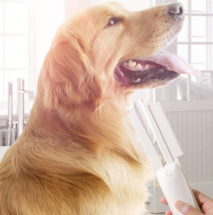 pet grooming bedford indiana