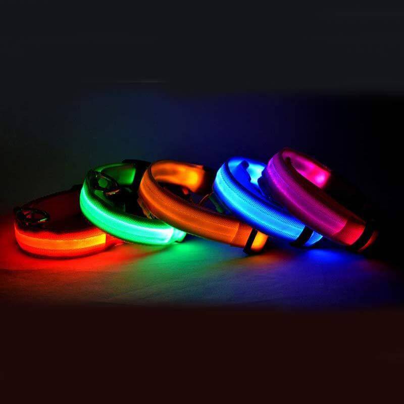 Pet Accessories LED Glow-in-the-Dark Pet Collar