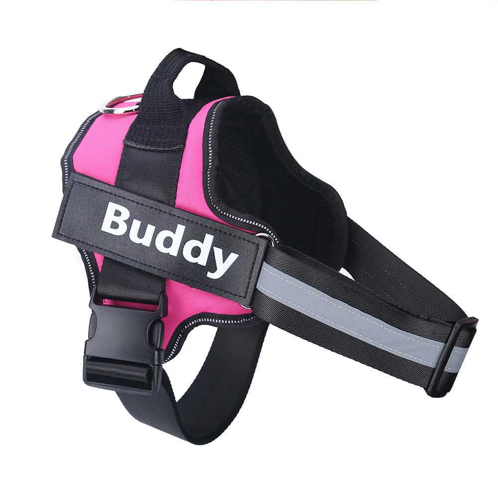 Pet Accessories Personalized Adjustable Dog Harness